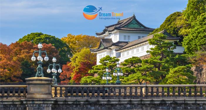 Tour Nhật Bản Mùa Thu 6N5Đ: Cung Đường Tokyo - Phú Sĩ